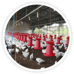 Farming